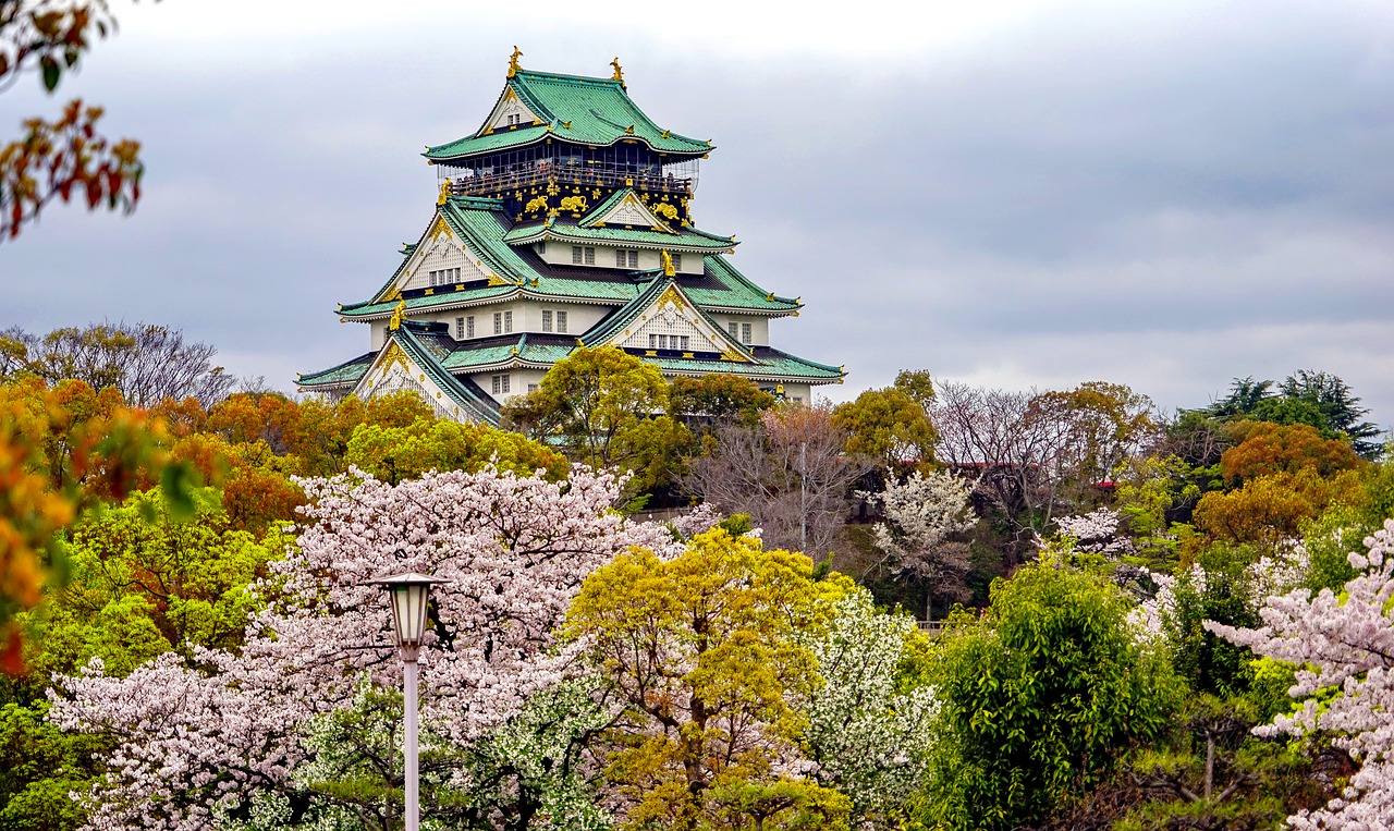 金昌追寻梦想的起点：为何选择高考后去日本留学？